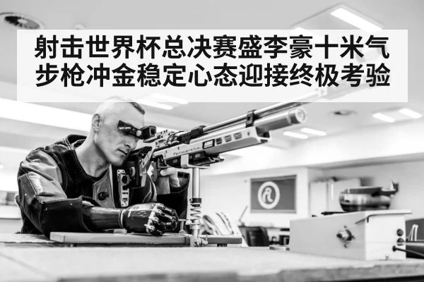 air rifle shooting sport